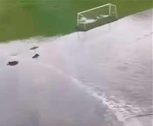 Вода снова залила стадион «Водник» в Нижнем Новгороде
