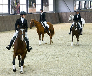 Новый крытый манеж для занятий конным спортом открыли в Нижнем Новгороде
