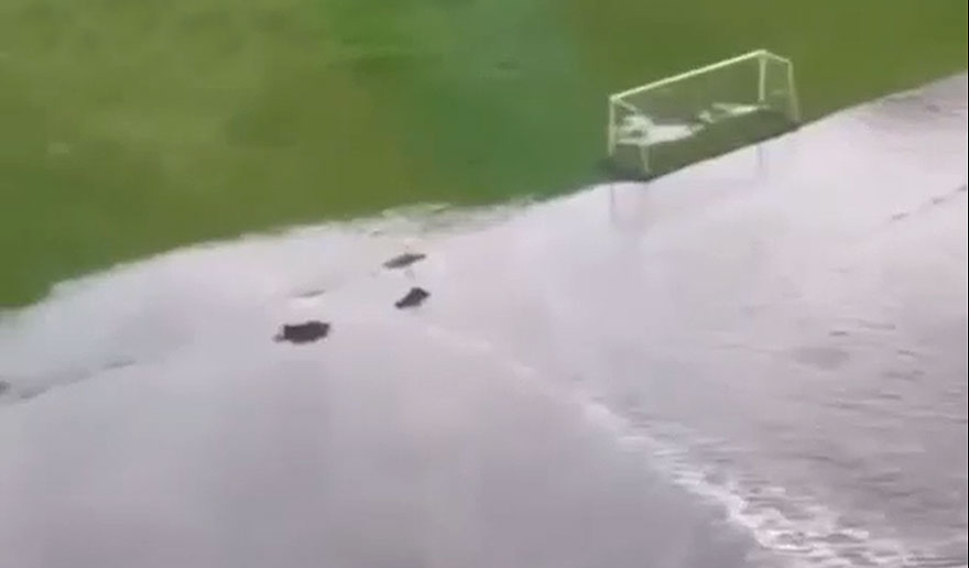 Вода снова залила стадион «Водник» в Нижнем Новгороде - изображение