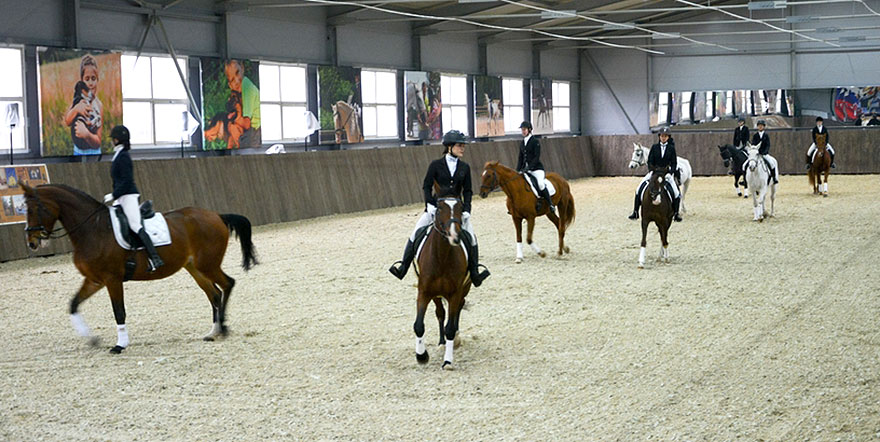 Новый крытый манеж для занятий конным спортом открыли в Нижнем Новгороде - изображение